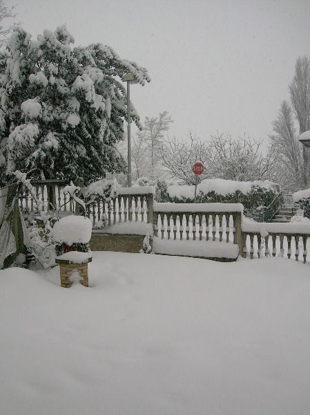 Immagini della neve da Ripe