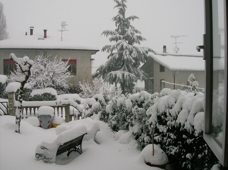 Immagini della neve da Ripe