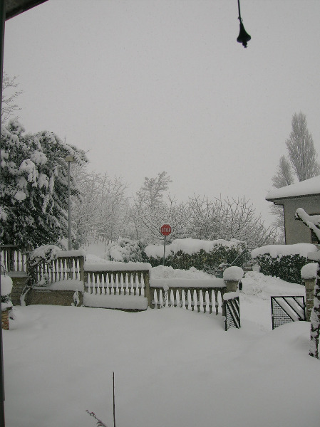 Immagini della neve da Ripe