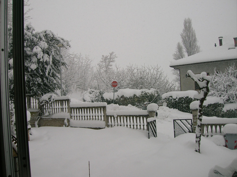 Immagini della neve da Ripe