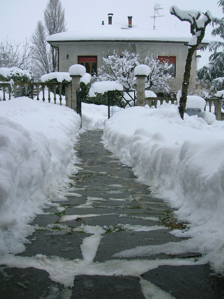 Immagini della neve da Ripe