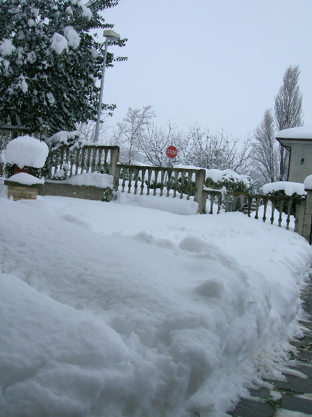 Immagini della neve da Ripe