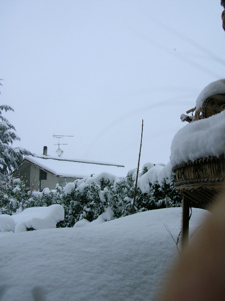 Immagini della neve da Ripe