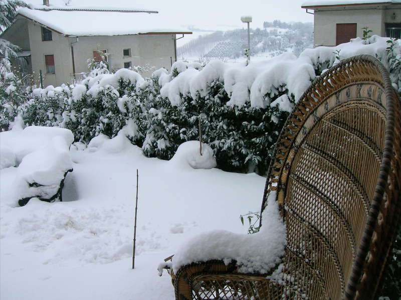 Immagini della neve da Ripe