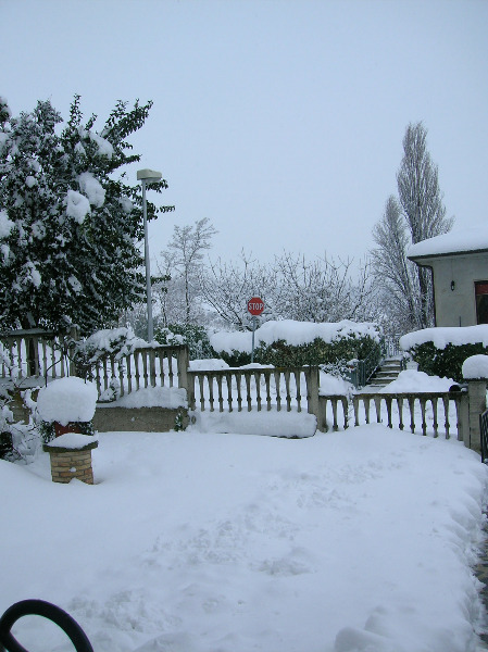 Immagini della neve da Ripe