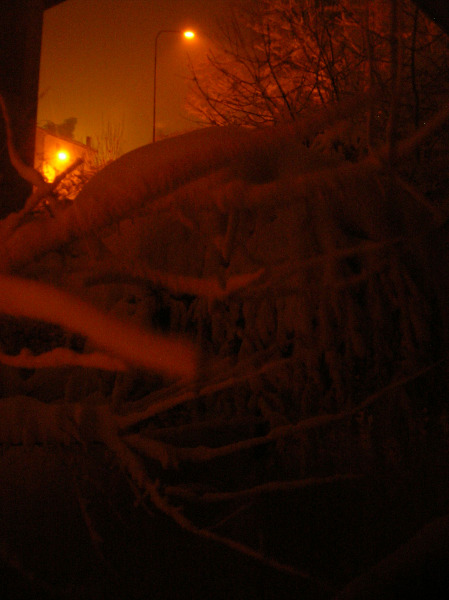 Neve a Ripe in notturna