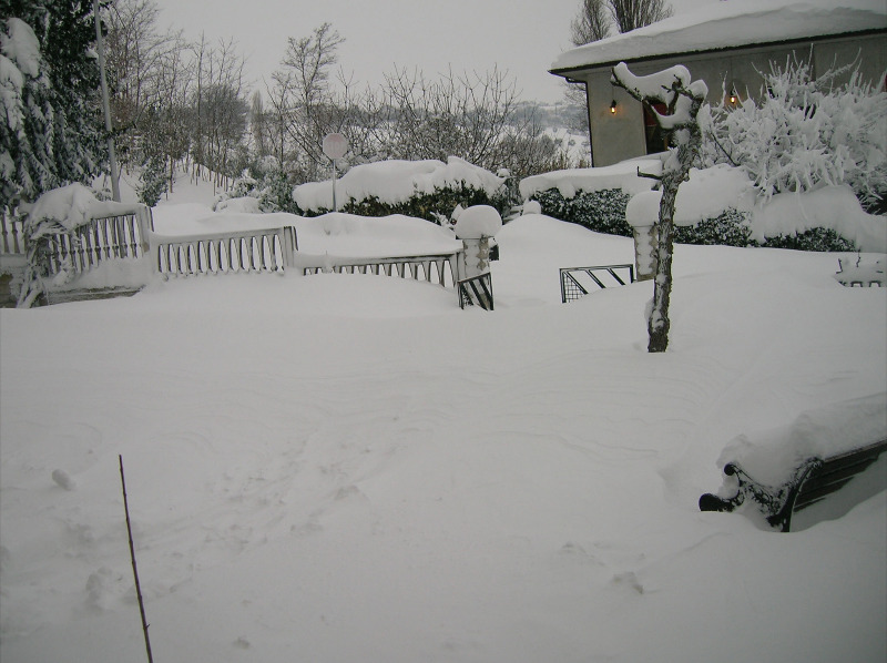 Immagini della neve da Ripe