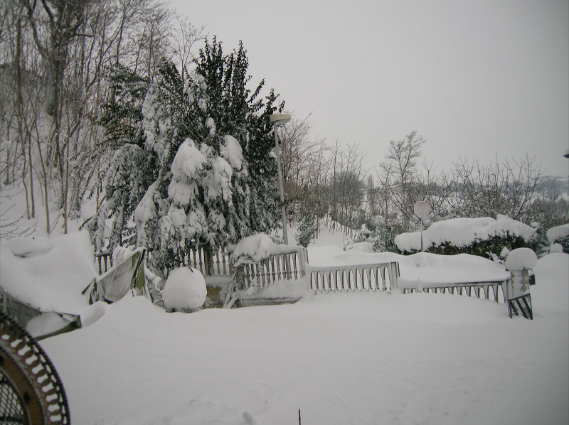 Immagini della neve da Ripe