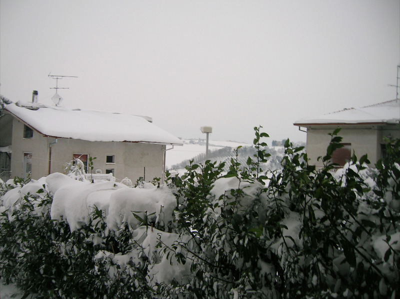 Immagini della neve da Ripe