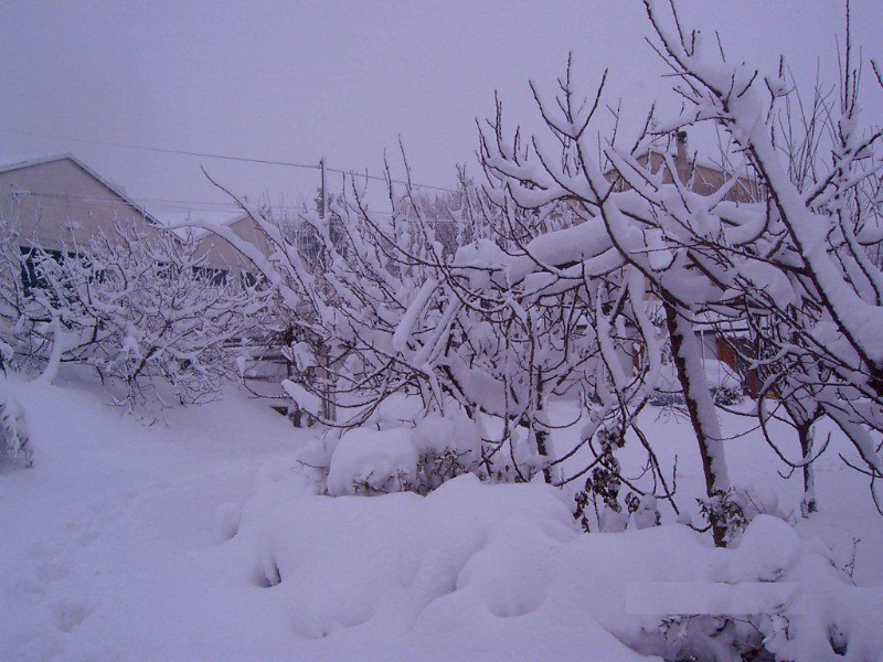 Panorami innevati da Vallone di Senigallia