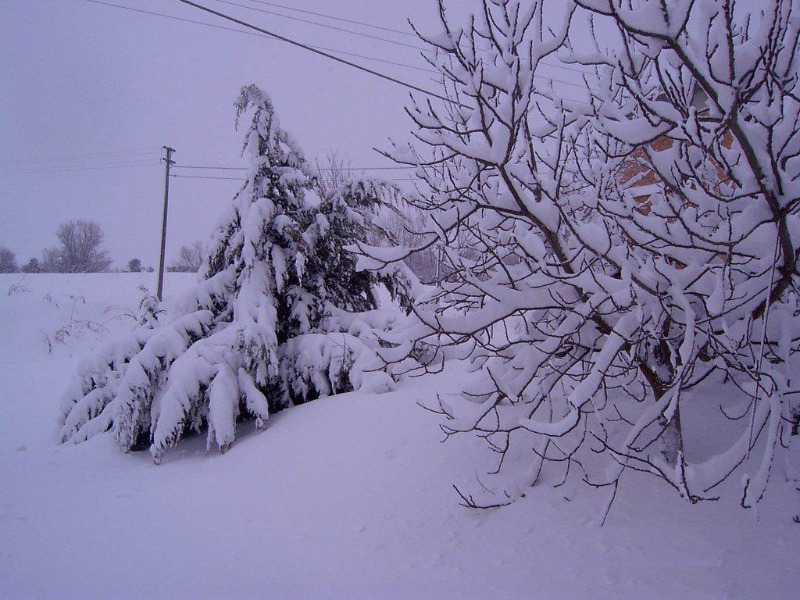 Panorami innevati da Vallone di Senigallia