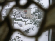 Immagini della neve da Ripe