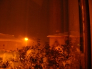 Neve a Ripe in notturna