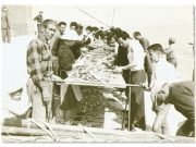 La pulitura del pesce (anni \'60)