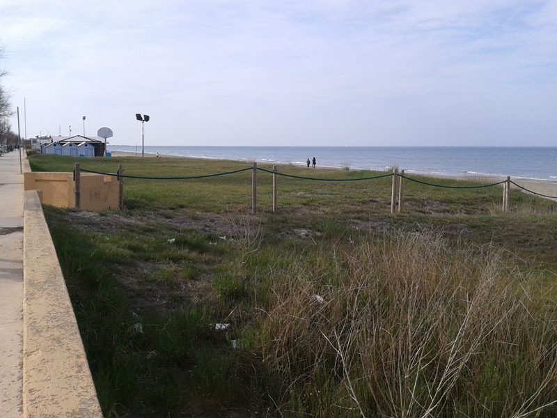 Duna sulla spiaggia al Ciarnin di Senigallia