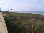 Duna sulla spiaggia al Ciarnin di Senigallia