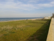 Duna sulla spiaggia al Ciarnin di Senigallia