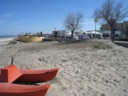 Nuova duna al Ciarnin di Senigallia