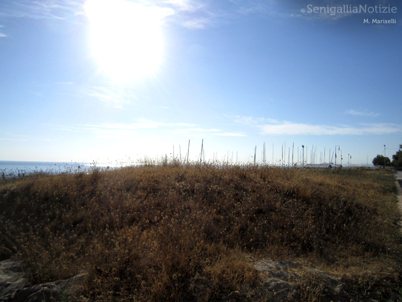 29/07/2012 - Le dune della spiaggia sud di Senigallia