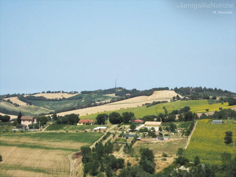 10/07/2013 - Colline dell'entroterra senigalliese