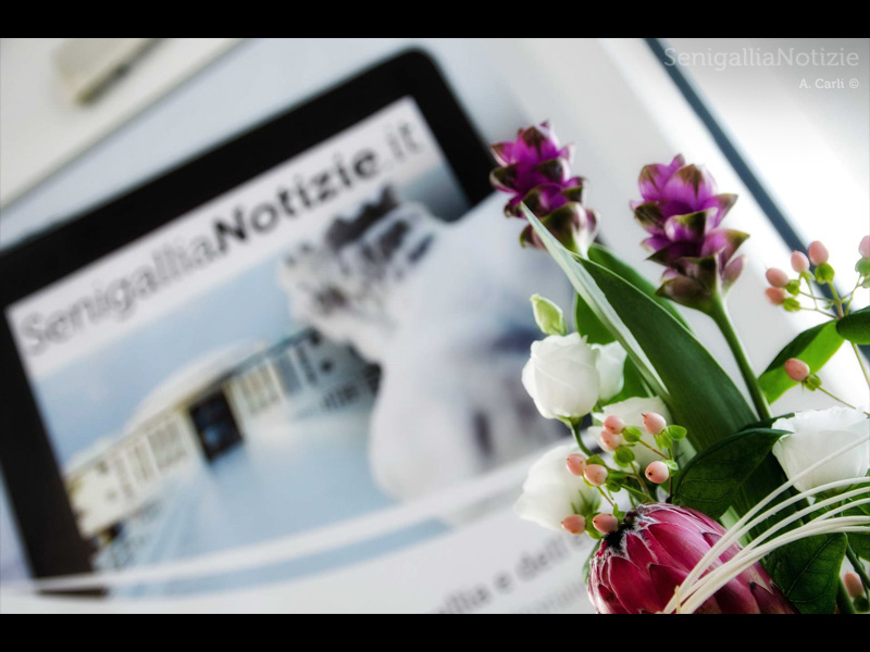 30/07/2013 - Legg10nline, i 10 anni di SenigalliaNotizie.it