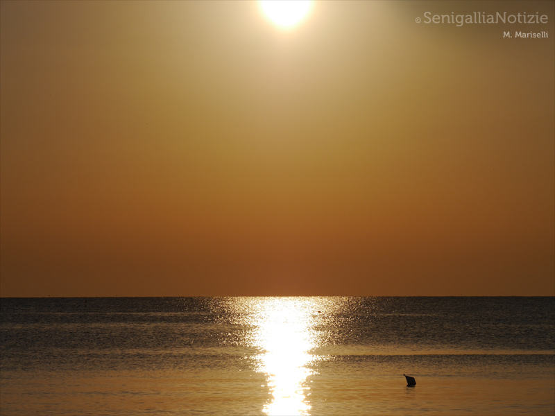 04/07/2014 - Il chiarore dell'alba