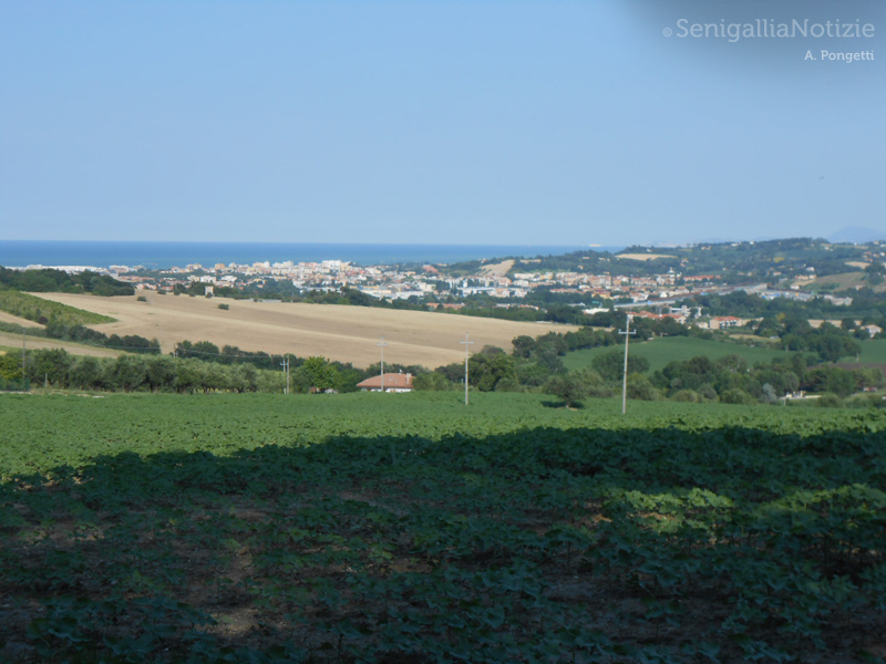 21/07/2014 - Dalle colline al mare