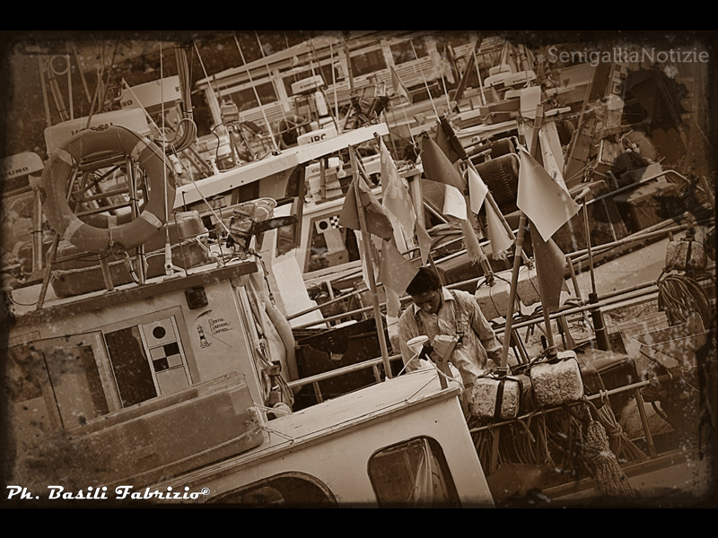 24/07/2014 - Pescherecci attraccati al porto