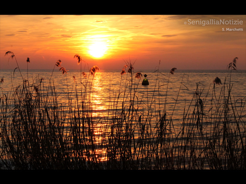 03/07/2015 - Sole all'orizzonte