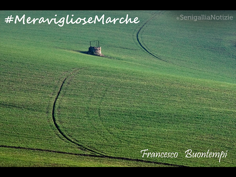 06/07/2015 - Meravigliose Marche