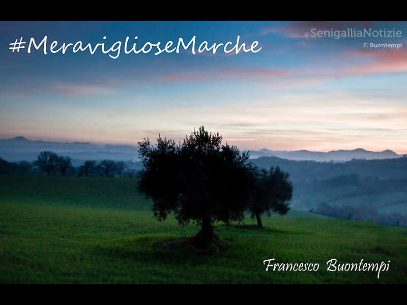 13/07/2015 - Meravigliose Marche