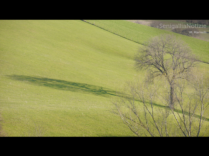 19/07/2015 - Colline marchigiane