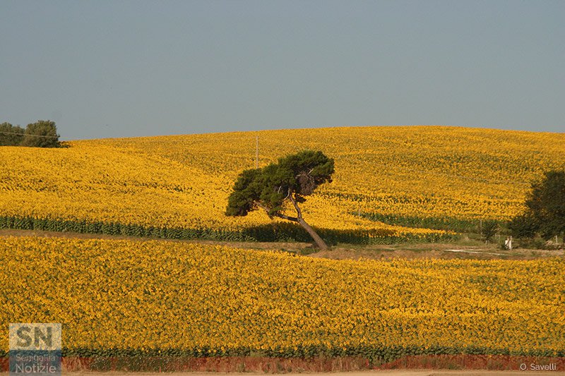04/07/2017 - La pendenza