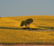 04/07/2017 - La pendenza