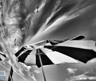 22/07/2017 - Una giornata ventosa