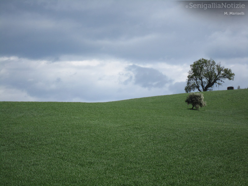 10/05/2012 - Le colline dell'entroterra marchigiano