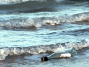 12/05/2012 - Un messaggio dal mare...