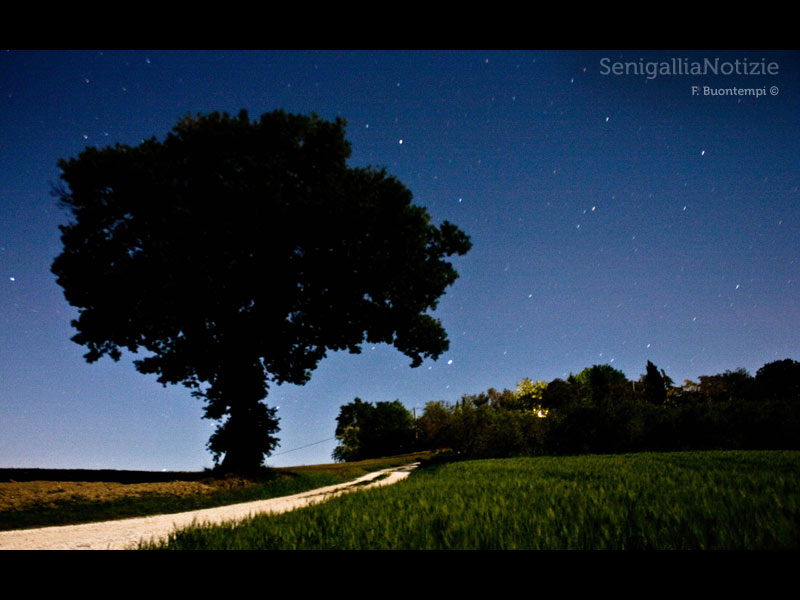 12/05/2013 - Notte stellata