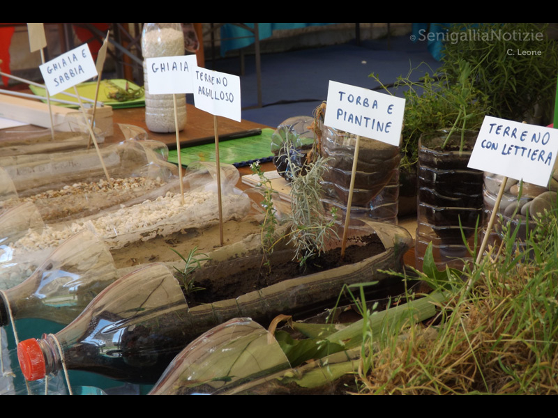 17/05/2013 - Fosforo 2013: tipologie di terreno