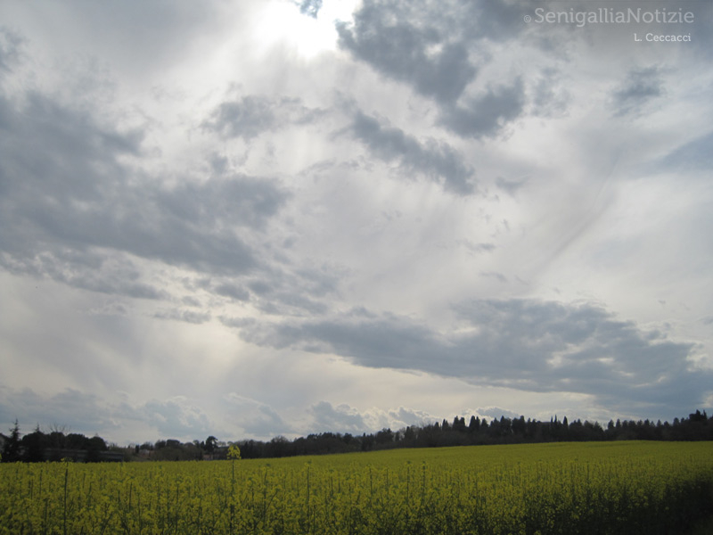 22/05/2013 - Nubi cariche di pioggia
