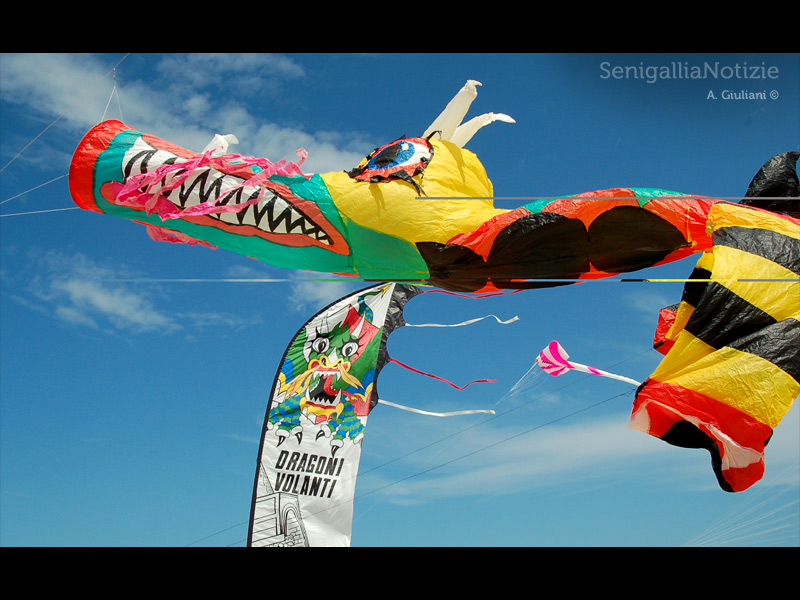 27/05/2013 - Dragoni volanti