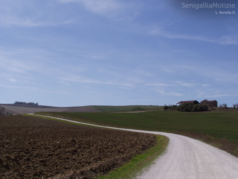 01/05/2014 - Stradina di campagna