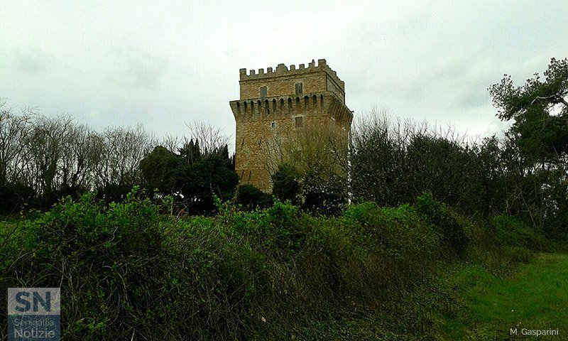 21/05/2016 - Torre Albani, Montignano