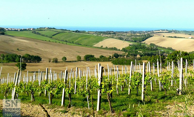 26/05/2016 - Guardando a mare