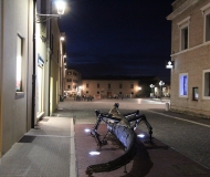 18/05/2016 - Drago in piazza