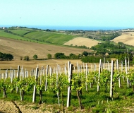 26/05/2016 - Guardando a mare