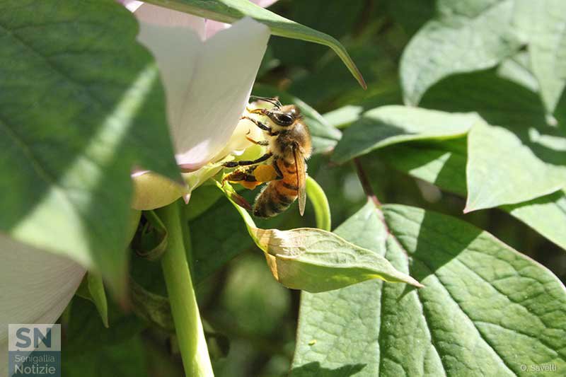 05/05/2017 - Il bottino