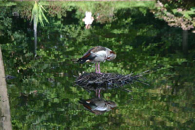 10/05/2017 - Specchio