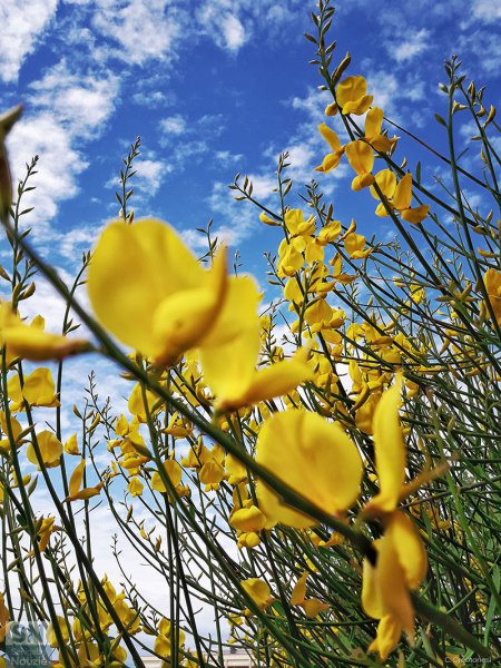 27/05/2017 - Da qui al cielo