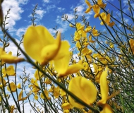 27/05/2017 - Da qui al cielo